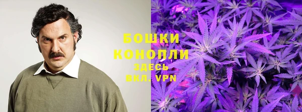 прущая мука Гусев
