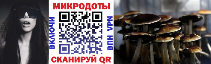 Галлюциногенные грибы GOLDEN TEACHER  Купить закладки  Константиновск 